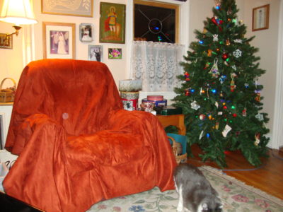 My recliner in rust fabric, with my cat, Skittles in the foreground.